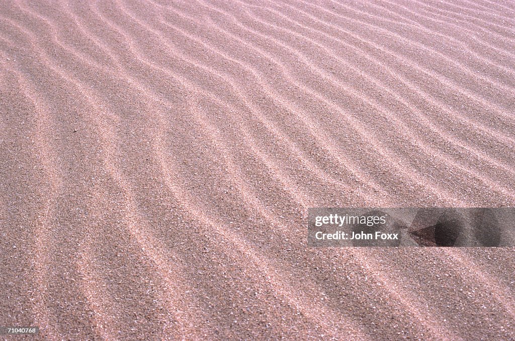 Sand ripples