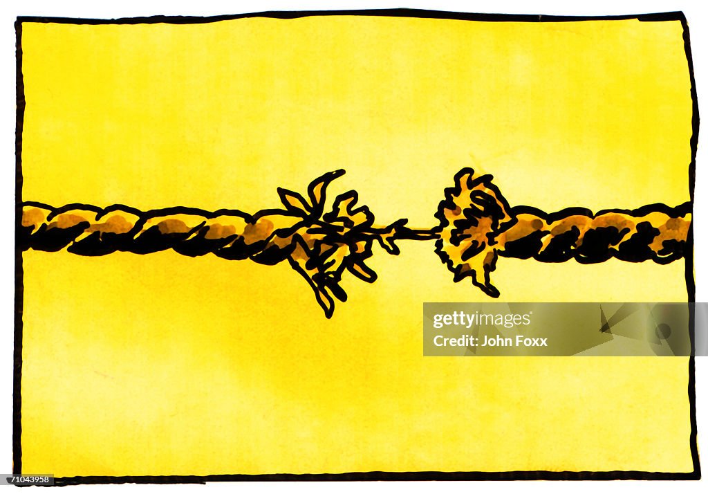 Rope Almost Split High-Res Vector Graphic - Getty Images