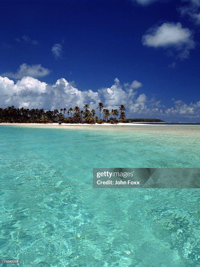 View of island with palm trees in background