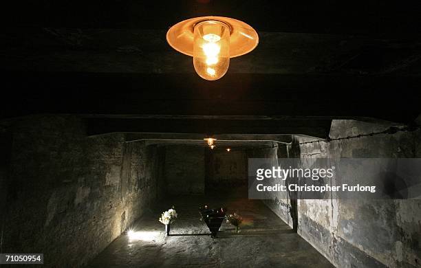 Memorial flowers placed by visitors lay on the floor of the gas chamber in the Auschwitz concentration camp on May 25, 2006 Auschwitz, Poland. Polish...