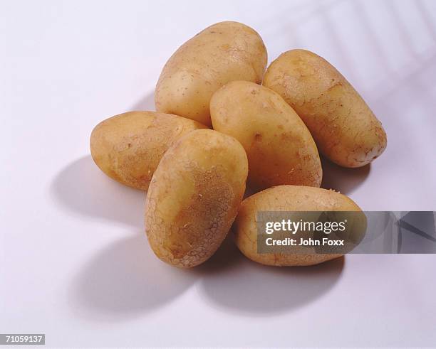 raw potato on white background, close-up - raw new potato stock pictures, royalty-free photos & images