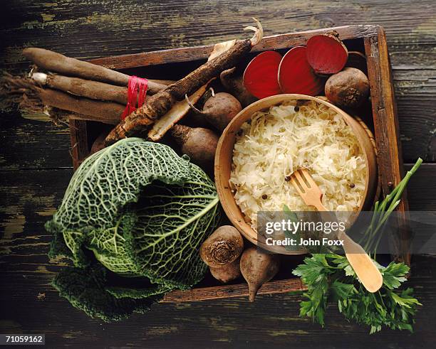 savoy cabbage and coleslaw in tray, directly above - salsify fotografías e imágenes de stock