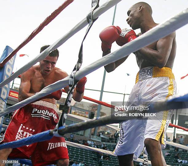 Carson, UNITED STATES: USA's Paul Williams pressures Argentina's Walter Dario Matthysse in their Welterweight NABO title bout at the Home Depot...