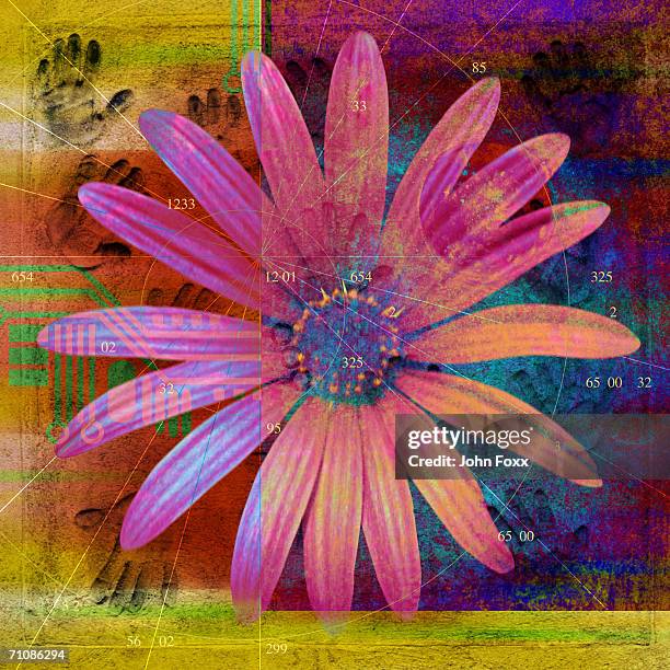 pink flower with human hand in background (digitally generated) - hot pink stock illustrations