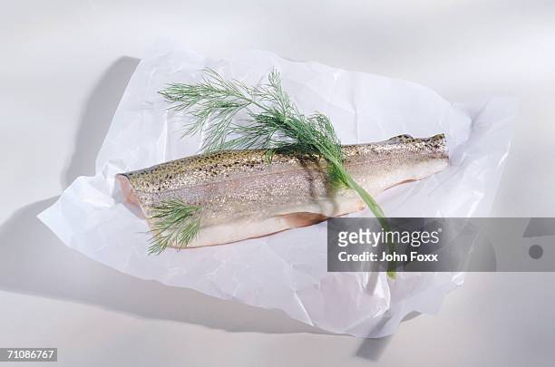 filleted and dill on white wax paper, close-up  - filleted stock pictures, royalty-free photos & images