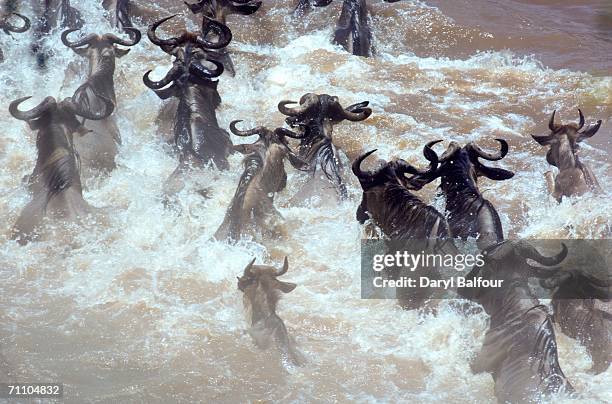 Balfour River Photos and Premium High Res Pictures Getty Images