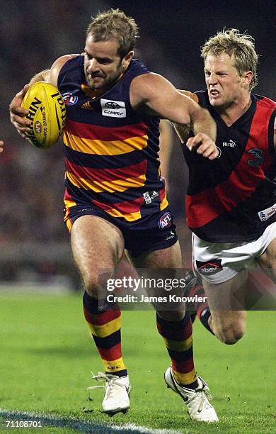 Nick Ricciuto 346 Rd 10 Adelaide Crows V Essendon Stock Photos, High-Res Pictures ...