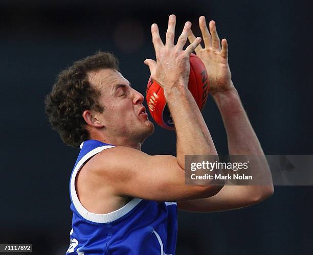 David Hale of the Kangaroos in action the round ten AFL match between the Kangaroos and the Sydney Swans at Manuka Oval on June 4, 2006 in Canberra,...