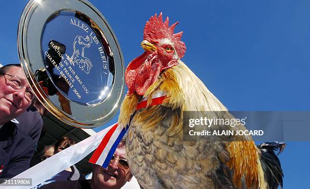 30 Mascot Of The French National Football Team Photos and Premium High Res Pictures - Getty Images 30 Mascot Of The French National Football Team Photos and Premium High Res Pictures - Getty Images