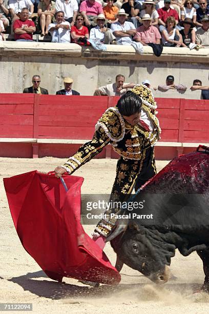 Javier Conde fights a bull during the sunday Feria of Pentecost on June 4, 2006 in Nimes, France. About one million people will celebrate during the...