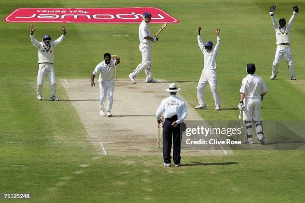 Muttiah Muralitharan of Sri Lanka appeals succesfully for the wicket of Kevin Pietersen during day four of the third npower test match between...