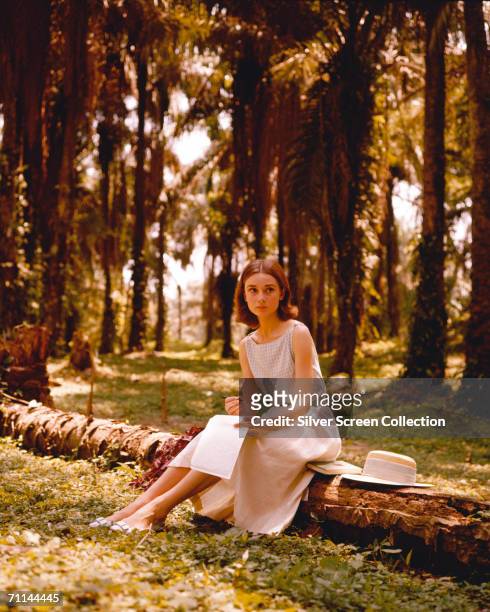 Belgian born actress Audrey Hepburn , writing a letter in a palm grove, circa 1955.