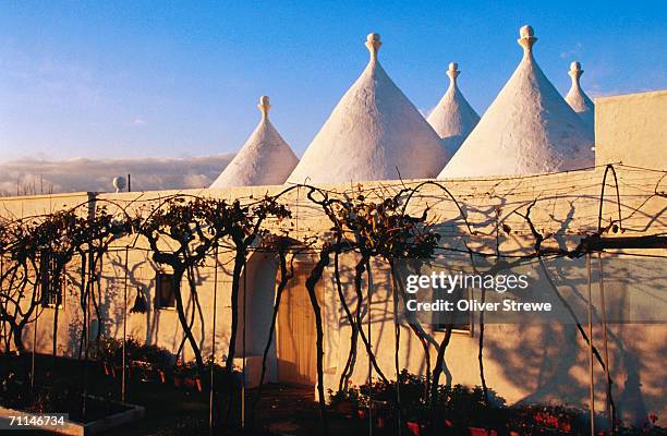 trulli rooftops and vines, italy - trulli stockfoto's en -beelden