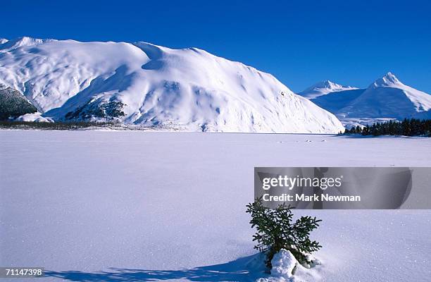 bard peak near portage glacier in snow, chugach national forest, united states of america - portage glacier stock pictures, royalty-free photos & images