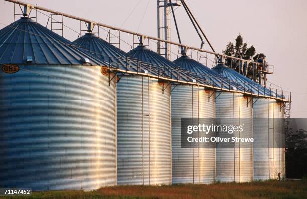 rice silos in the delta, united states of america - 筒倉 個照片及圖片檔