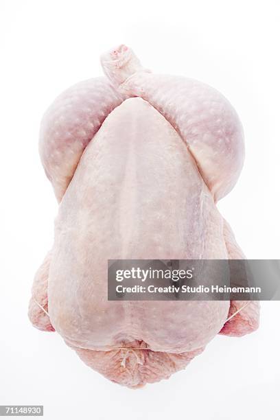 fresh raw chicken, close-up - raw chicken stock pictures, royalty-free photos & images