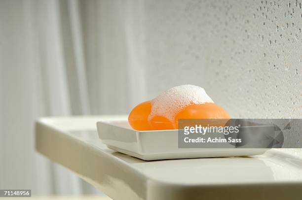 soap with foam in soap dish - soap - fotografias e filmes do acervo