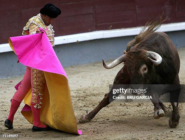 Cesar Rincon 202 Cesar Rincon Stock Photos, High-Res Pictures, and Images - Getty Images