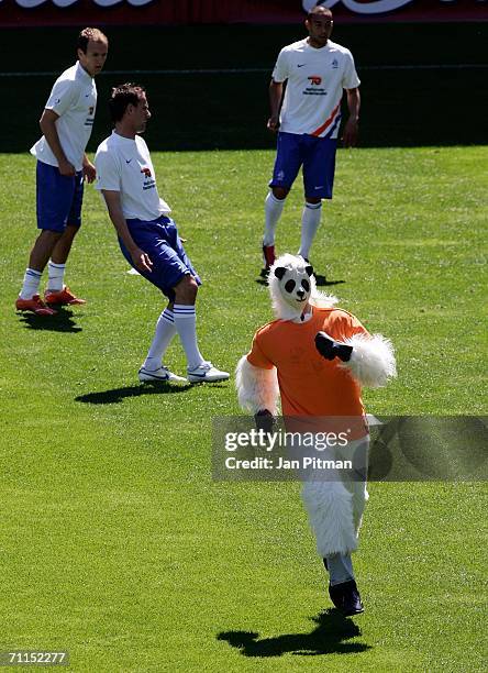 Pitch invader runs over the field during a training session from the national team of the Netherlands in the Badenova Stadium on June 8, 2006 in...