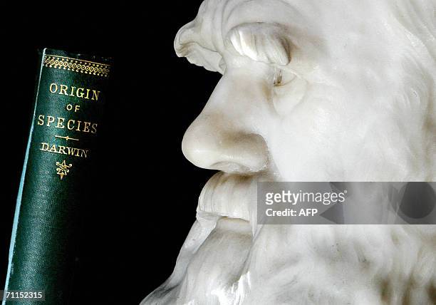 United Kingdom: A copy of Darwin's book the "Origin of Species" is pictured in front of a life size stone bust of Charles Darwin at London's Natural...