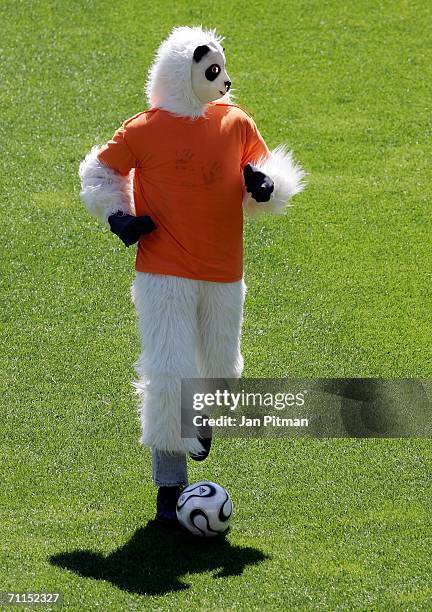 Pitch invader runs over the field during a training session from the national team of the Netherlands in the Badenova Stadium on June 8, 2006 in...