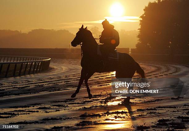 Elmont, UNITED STATES: A horse and rider are shown on a wet track as the sun rises 09 June, 2006 at Belmont Race track in Elmont, NY. The 138th...