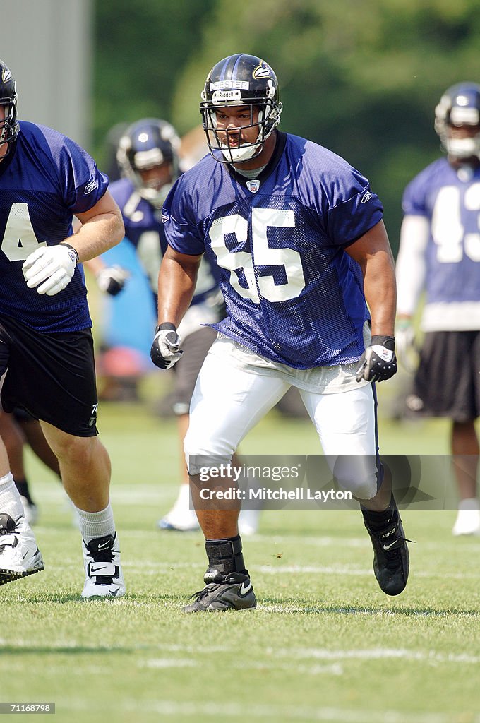 Baltimore Ravens Mini Camp