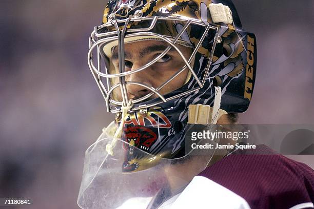 Goaltender Frederic Cassivi of the Hershey Bears waits during a timeout in game four of the AHL Calder Cup Finals against the Milwaukee Admirals on...