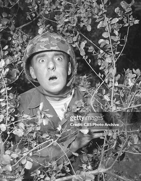 American actor Jim Nabors, wearing an ill-fitting camouflage helmet, hides in a bush, a look of shock on his face, in a scene from an episode of the...