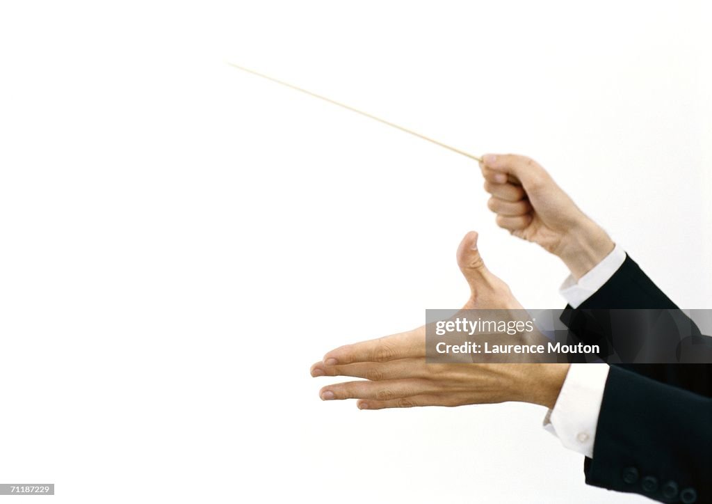 Conductor's hands holding baton