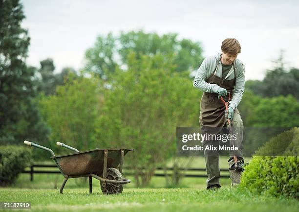 man digging in yard with shovel - wheelbarrow stock-fotos und bilder