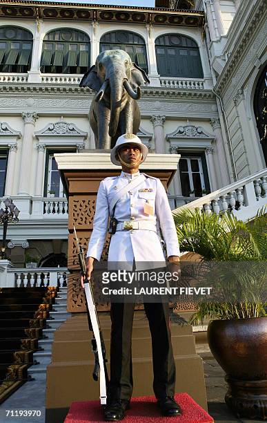 Royal guard from the Thai palace stands in front of the Grand Palace prior to arrival of members from royal families in Bangkok, 13 June 2006. Royals...