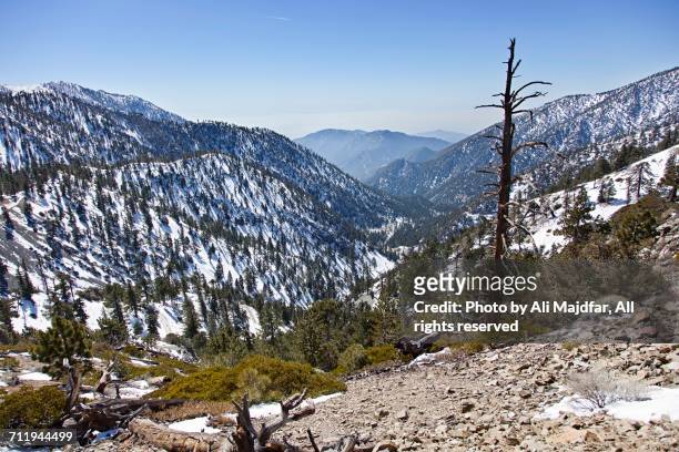travel pov  - mount baldy stock pictures, royalty-free photos & images