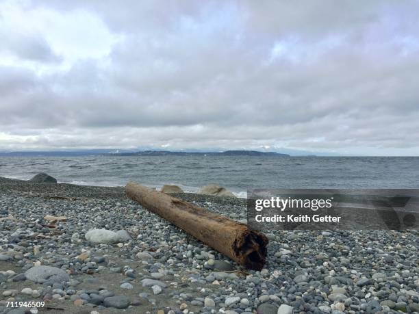 travel pov  - coupeville stock pictures, royalty-free photos & images