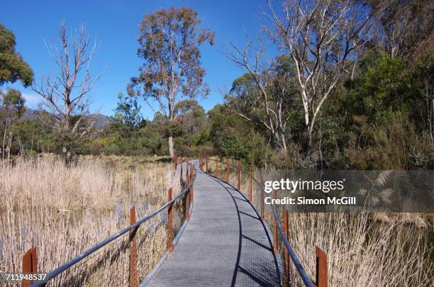 travel pov  - tidbinbilla nature reserve stock pictures, royalty-free photos & images