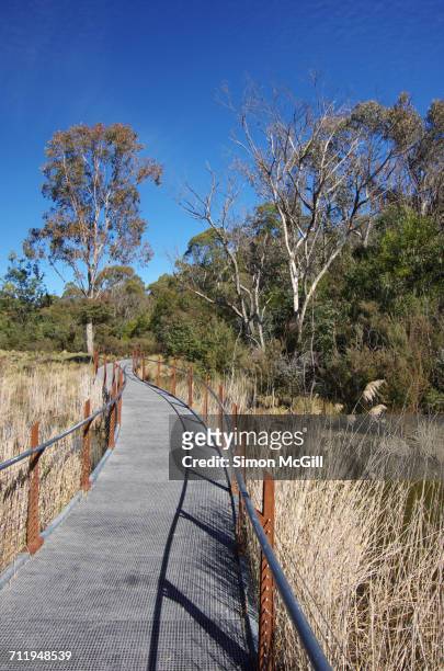 travel pov  - tidbinbilla nature reserve stock pictures, royalty-free photos & images