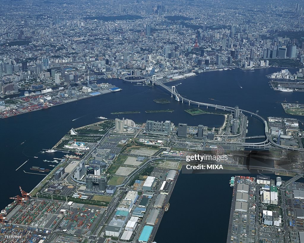 Aerial view of Tokyo, Japan