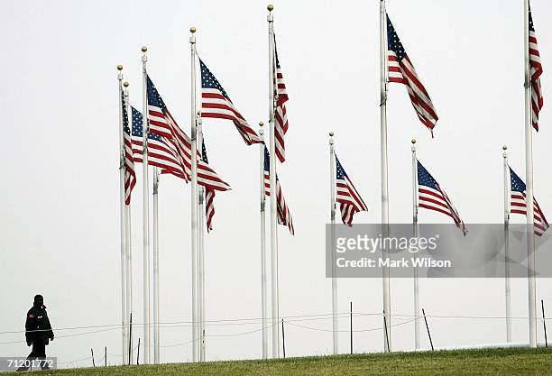 Man walks past a row of American flags in front of the Washington Monument on Flag Day June 14, 2006 in Washington DC. On August 3rd, 1949 President...