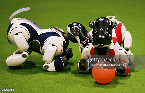 Two four-legged robots, of team ASI and team Germany compete during the RoboCup 2006 football world championships at the Congress Centre on June 14,...