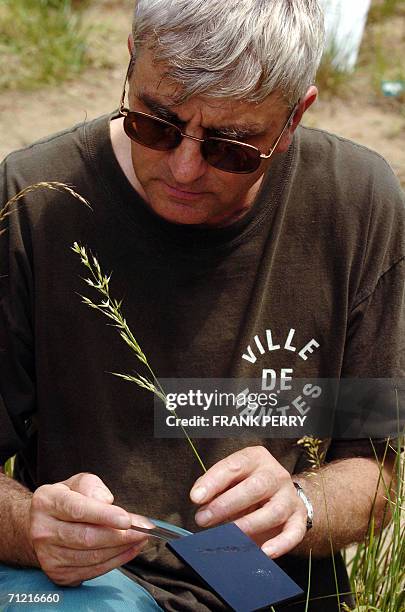 Pierre Gurliat, jardinier, recueille des pollens, le 13 juin 2006, dans le pollinier du Jardin des plantes de Nantes. Chaque annee le pollen affecte...