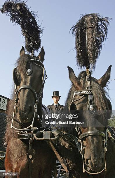 Carriage master Nick Rayfield waits before a funeral service at F. A. Albin & Sons funeral home on a 200 year old horse drawn hearse on June 16, 2006...