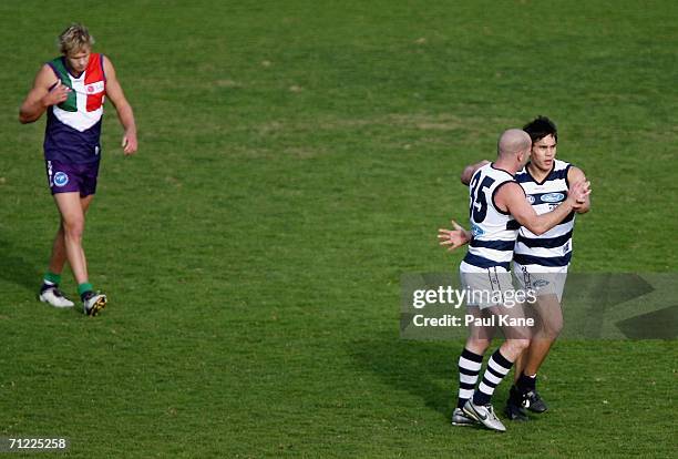 Paul Chapman of the Cats celebrates a goal with Mathew Stokes during the round 12 AFL match between the Fremantle Dockers and the Geelong Cats at...