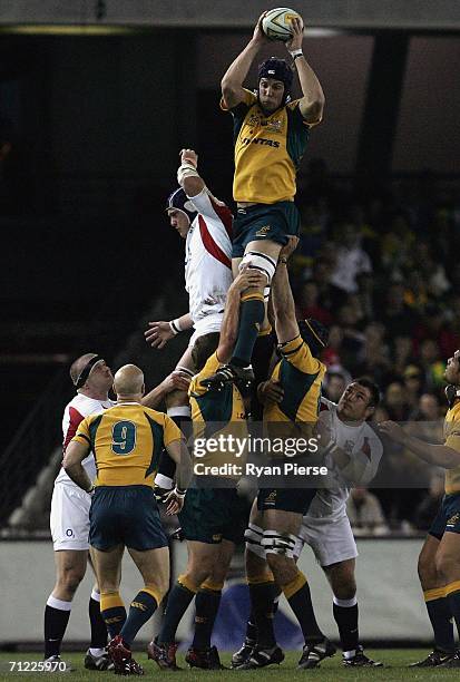 Daniel Vickerman of the Wallabies wins a line out during the Second Cook Cup match between the Australian Wallabies and England at the Telstra Dome...