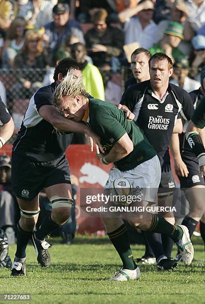 Jason Sa Rugby Player 386 Jason White Rugby Player Stock Photos, High-Res Pictures, and ...
