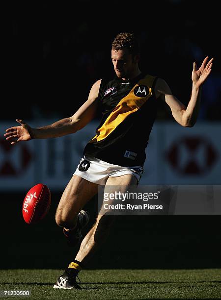 Shane Tuck of the Tigers in action during the round 12 AFL match between the Hawthorn Hawks and the Richmond Tigers at Aurora Stadium on June 18,...