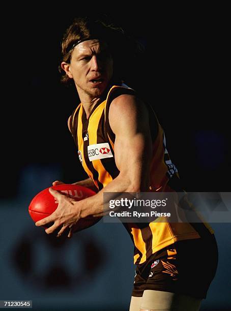 Joel Smith of the Hawks in action during the round 12 AFL match between the Hawthorn Hawks and the Richmond Tigers at Aurora Stadium on June 18, 2006...