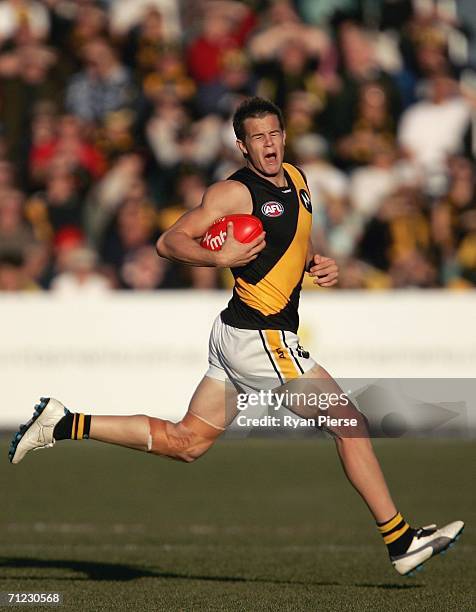 Brett Deledio of the Tigers looks dejected after a free kick went against him during the round 12 AFL match between the Hawthorn Hawks and the...