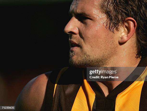 Luke Hodge of the Hawks looks on during the round 12 AFL match between the Hawthorn Hawks and the Richmond Tigers at Aurora Stadium on June 18, 2006...