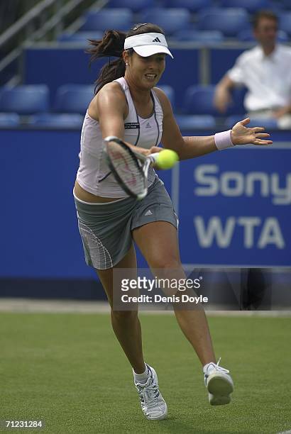 Ana Ivanovic of Serbia and Montenegro returns a forehand to Alicia Molik of Australia during an Ordina Open first round tennis match on June 18, 2006...
