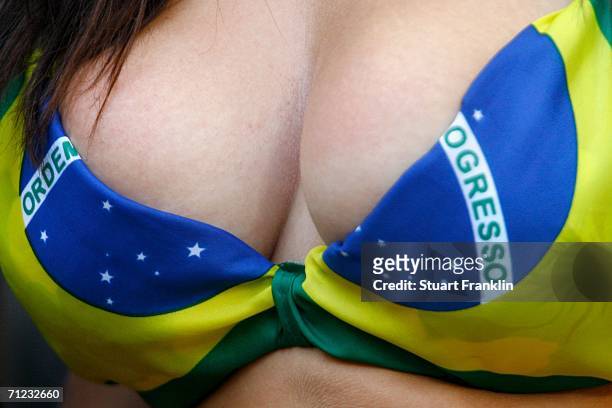 Brazil fan shows their colours prior to the FIFA World Cup Germany 2006 Group F match between Brazil and Australia at the Stadium Munich on June 18,...